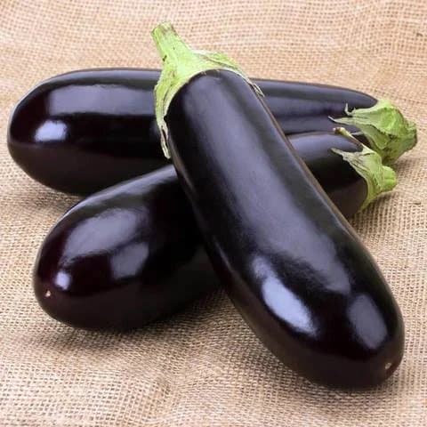 Eggplant