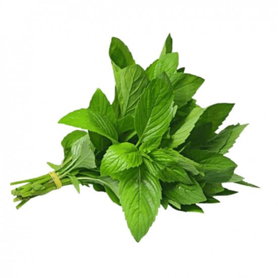 Mint