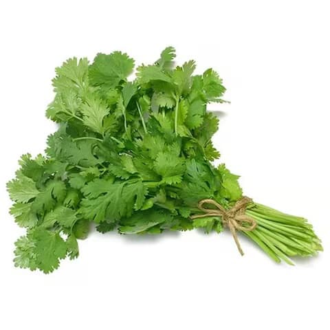Coriander