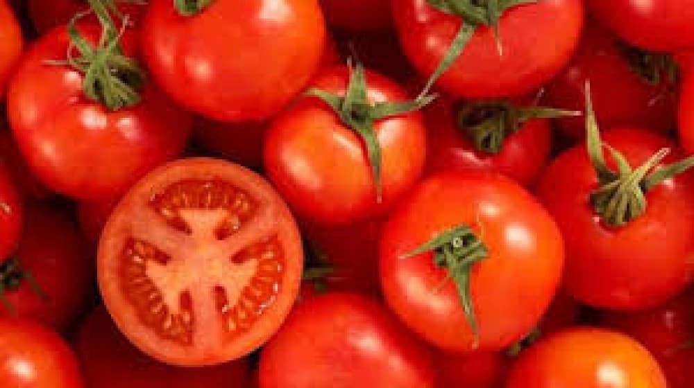 Tomato